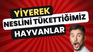 YİYEREK NESLİNİ TÜKETTİĞİMİZ HAYVANLAR [upl. by Alvar834]