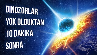 Dinozorların Nesli Tükendikten 10 Dakika Sonra Neler Olduğunu İzleyin [upl. by Ahsoem199]