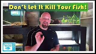 How to Lower Nitrites in an Aquarium [upl. by Nirok748]