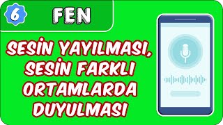 Sesin Yayılması Sesin Farklı Ortamlarda Duyulması  6 Sınıf Fen evokul Kampı [upl. by Odraleba]