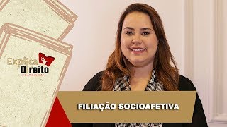 Explica Direito Filiação Socioafetiva  2019 [upl. by Olcott95]