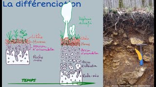 Le sol et sa formation [upl. by Neiviv]