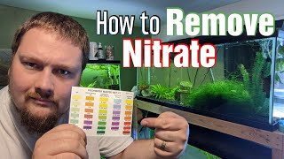 Aquarium Maintenance Tips  How to remove Nitrate [upl. by Shaina129]