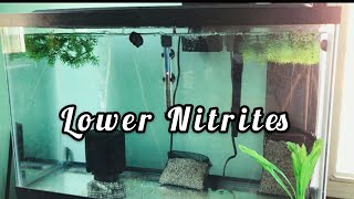 Lower Nitrites In Your Aquarium [upl. by Humfrey]