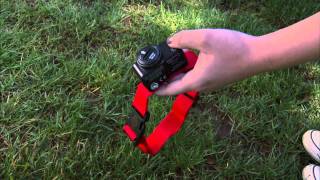 How to Install a PetSafe® Wireless Dog Fence [upl. by Solim252]