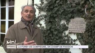 SUIVEZ LE GUIDE  La forêt de Compiègne un champ de passion [upl. by Kcirdes]