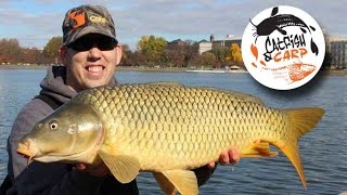 How to catch carp  carp fishing tips and techniques  carp bait [upl. by Sung]