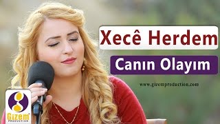 Xecê Herdem Canın Olayım Akustik [upl. by Hoenack]