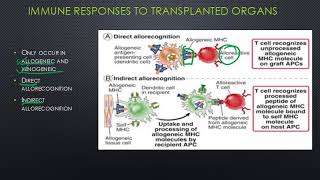 Transplant Immunology [upl. by Asena]