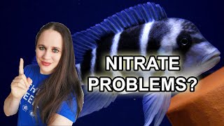 How to fix Nitrate Problems in your Aquarium [upl. by Assiluy190]