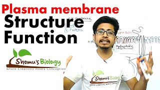 Plasma membrane structure and function [upl. by Austina]