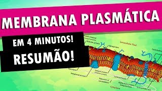 MEMBRANA PLASMÁTICA EM 4 MINUTOS [upl. by Eugen367]