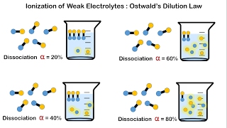 Ionisation of weak electrolytes and Ostwalds dilution law [upl. by Oloapnaig]