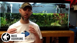 How to REMOVE NITRATES from your Aquarium 3 steps to Balance Nitrate levels in your Aquarium [upl. by Emelyne648]