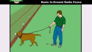 PetSafe—How to Train Your Dog on the InGround Radio Fence [upl. by Akeit]