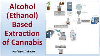 Alcohol Ethanol Based Extraction of Cannabis [upl. by Dulce]