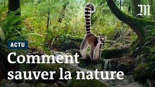 Quelles solutions resteil pour sauver la biodiversité [upl. by Padget]