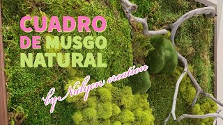 Cómo hacer un cuadro de musgo natural [upl. by Roze]