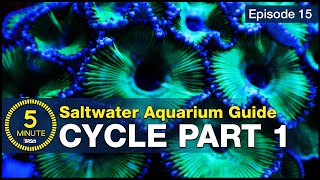 Cycle your saltwater aquarium Step 1 A new reefers guide to ammonia and the nitrogen cycle [upl. by Amihc]