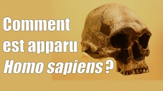 Comment est apparu Homo Sapiens [upl. by Townshend724]